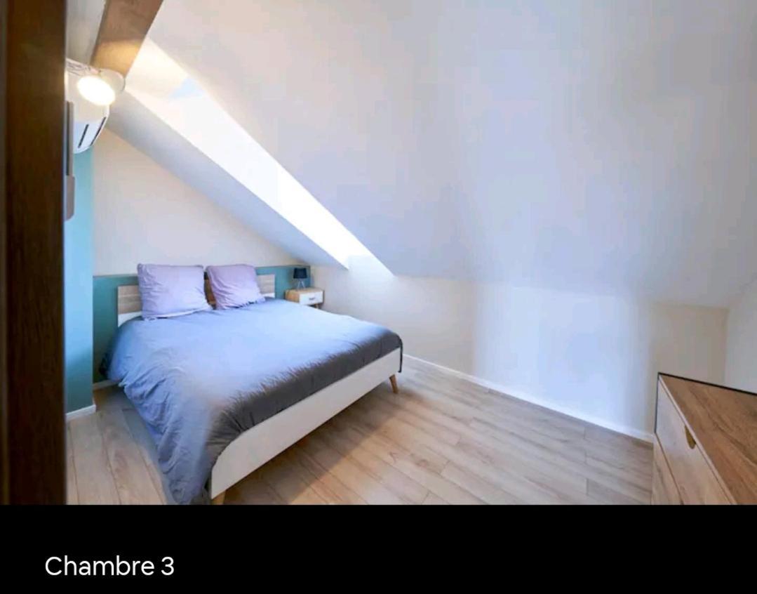 Loft Neuf Avec Bain Jacuzzi Et Terrasse Leilighet Colmar Eksteriør bilde