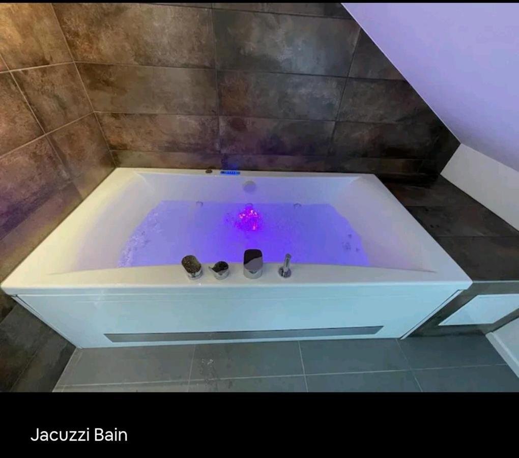 Loft Neuf Avec Bain Jacuzzi Et Terrasse Leilighet Colmar Eksteriør bilde
